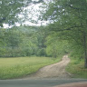 Meet your Posher, Desiree